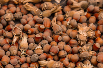 A bunch of fresh ripe hazelnuts on an old stump. Shallow depth of field. Food protein. Peanut Butter Advertising. Background image of a pattern of orchids.