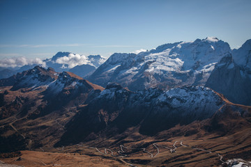 Majestic View of Pine Green Forest and Blue Mountains