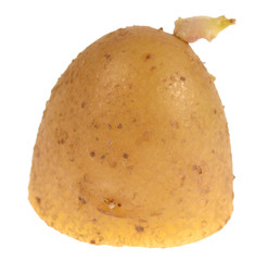Half of potato isolated on white background