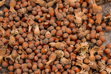 A bunch of fresh ripe hazelnuts on an old stump. Shallow depth of field. Food protein. Peanut Butter Advertising. Background image of a pattern of orchids.