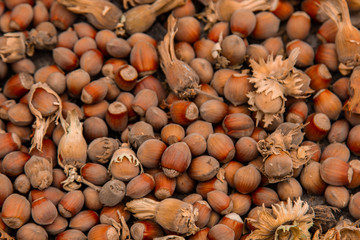 A bunch of fresh ripe hazelnuts on an old stump. Shallow depth of field. Food protein. Peanut Butter Advertising. Background image of a pattern of orchids.