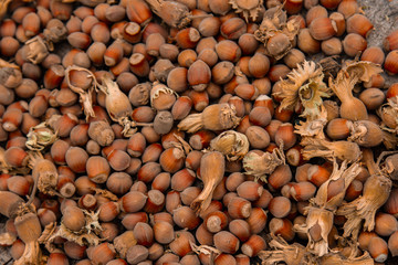 A bunch of fresh ripe hazelnuts on an old stump. Shallow depth of field. Food protein. Peanut Butter Advertising. Background image of a pattern of orchids.