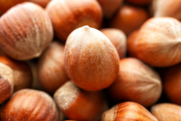 Many tasty hazelnuts as background