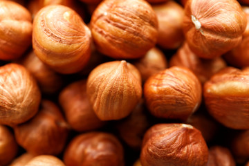 Many tasty hazelnuts as background