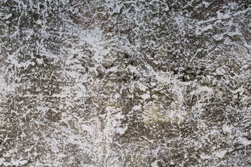 Fairy tale winter texture
