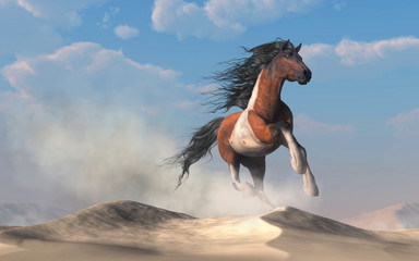 A Pinto coated horse gallops over low dunes in a desert. Kicking up a cloud of dust, it's dark mane and tail flutter behind it a dashes over the sand. 3D Rendering © Daniel Eskridge