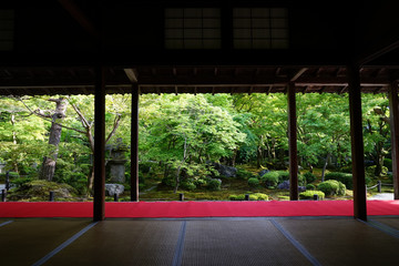 Fototapeta premium 圓光寺の日本庭園