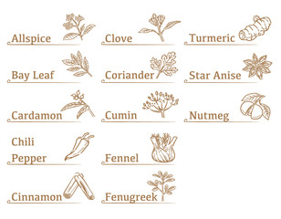 Labels and icons of spices.