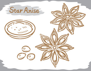 Star anise isolated on white. - obrazy, fototapety, plakaty