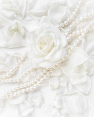 Beautiful white rose and pearl necklace on a background of petals. Ideal for greeting cards for wedding, birthday, Valentine's Day, Mother's Day