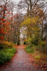 Naklejka premium beautiful colors of park in autumn fall season portrait orientation