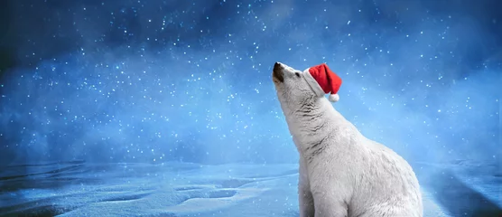 Foto auf Alu-Dibond Eisbär mit Weihnachtsmütze, Schneeflocken und Himmel. Winterlandschaft mit Aufschrift &quot Happy New Year&quot , Panoramabild © alesmunt