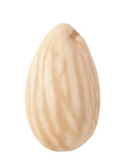 Blanched almond isolated on white