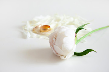 Wedding background. White peony, peony petals and gold wedding rings. Event. Selective focus
