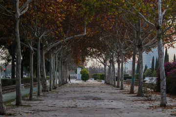 Fototapeta premium Empty promenade with red leaves during autumn