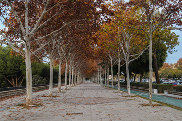 Naklejka premium Empty promenade with red leaves during autumn