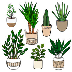Set of different hand drawn houseplants in planters. Vector outline illustration drawings on a white background
