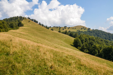 Obraz premium Ukrainian tranquil landscape with green meadow and blue sky