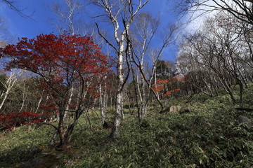 日光　半月山