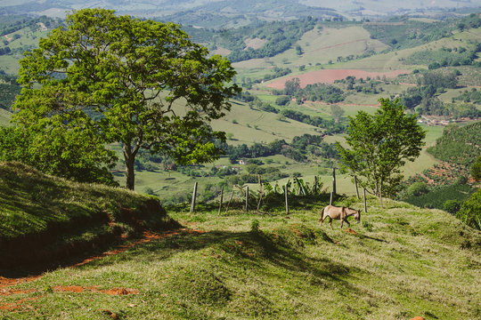 Pedralva - Paisagem
