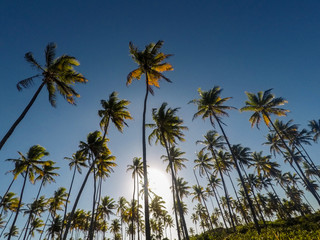 Obraz premium Praia de Gramame - João Pessoa - Paraíba