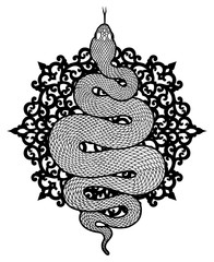 Obraz premium Coiled snake detailed illustration