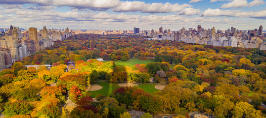 Fall Color Autumn Season Buildings of 5th Avenue NYC