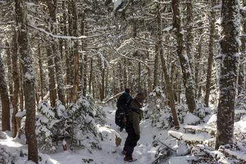 Winter Tunnel