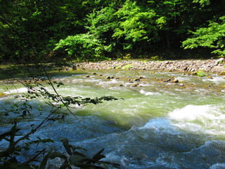 奥入瀬