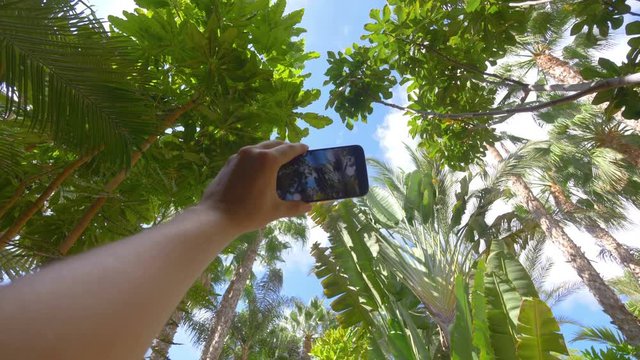 POV on taking picture in rainforest jungle in 4K slow motion 60fps