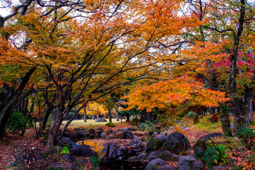 南立石公園の紅葉