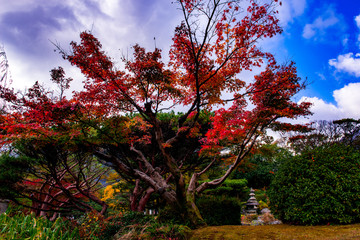 南立石公園の紅葉