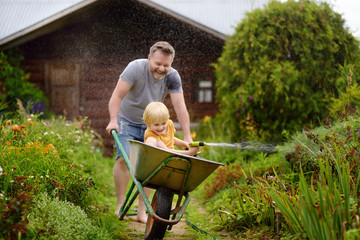 Happy little boy having fun in a wheelbarrow pushing by dad in domestic garden on warm sunny day....