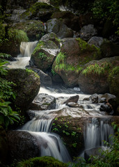 Fototapeta na wymiar Portrait a waterfall in an Indian forest during the peak monsoon season