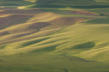 An aerial view of  rolling hills of Palouse in Washington state, USA