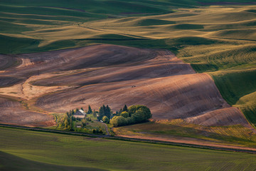 An aerial view of fams among rolling hills of Palouse in Washington state, USA