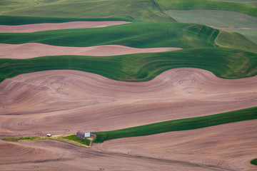 A very abstract graphic view of wheat fields with tracktor tracks in Palouse, washington state, usa
