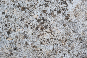 Cement  texture for  background and abstract