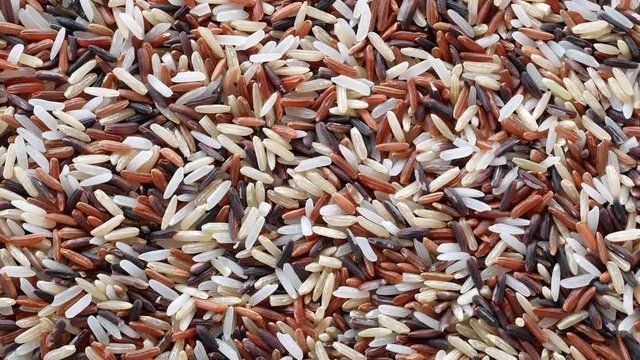Brown Rice, Rice, Rice Berry and Red rice. Which is rice with high nutritional value