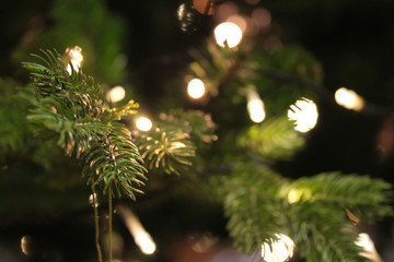 Christmas tree branches close up decorated with garland lights. Festive holiday background with...