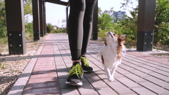 Young adult girl spending vacation day with little dog