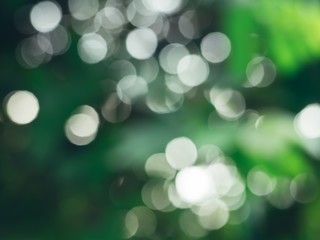 Nature bokeh background, Green leave bokeh with nature light, morning time, Abstract blurred background.