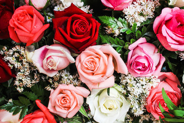Colorful roses bouquet for natural background , water drops