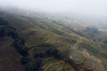 Panoramic view of Terraced rice field in Sapa, Lao Cai, Vietnam. the rainy season in Vietnam. Rice terraces in fog