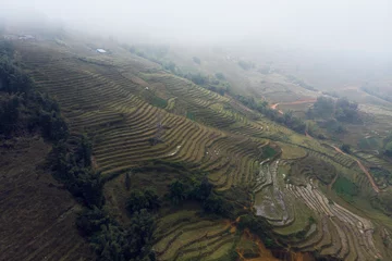 Fototapete Reisfelder Panoramic view of Terraced rice field in Sapa, Lao Cai, Vietnam. the rainy season in Vietnam. Rice terraces in fog  © diy13