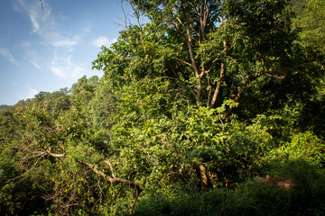 Landscape view along the ghat road on the way to Yercaud, Salem, India