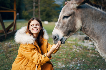 Fototapeta premium girl with horse
