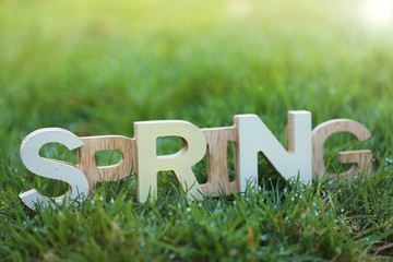 Spring time. Spring inscription made of  letters in green grass with dew drops on a blurred plant background in the sunshine.Spring season. Green grass natural background.