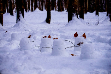 林で見つけた可愛らしいバケツ雪像