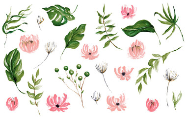 Hand Drawn Watercolor Tropical Leaves, Tropical Exotic Leaves, Background, Urban Jungle, House Plant